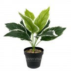 Cây giả để bàn cao 35cm _  viền trắng